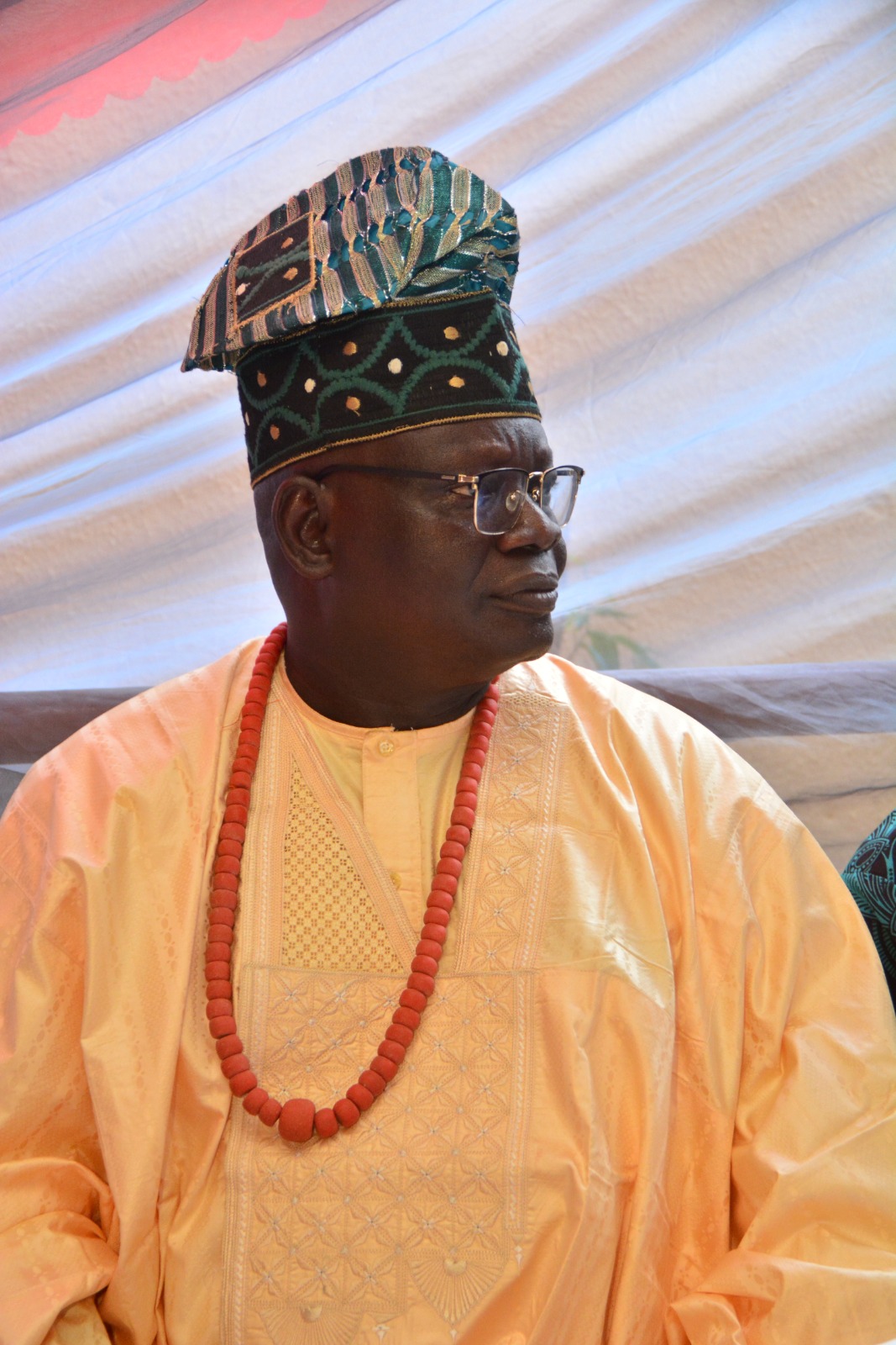 Prof. Olabode Agunbiade Academic Leadership